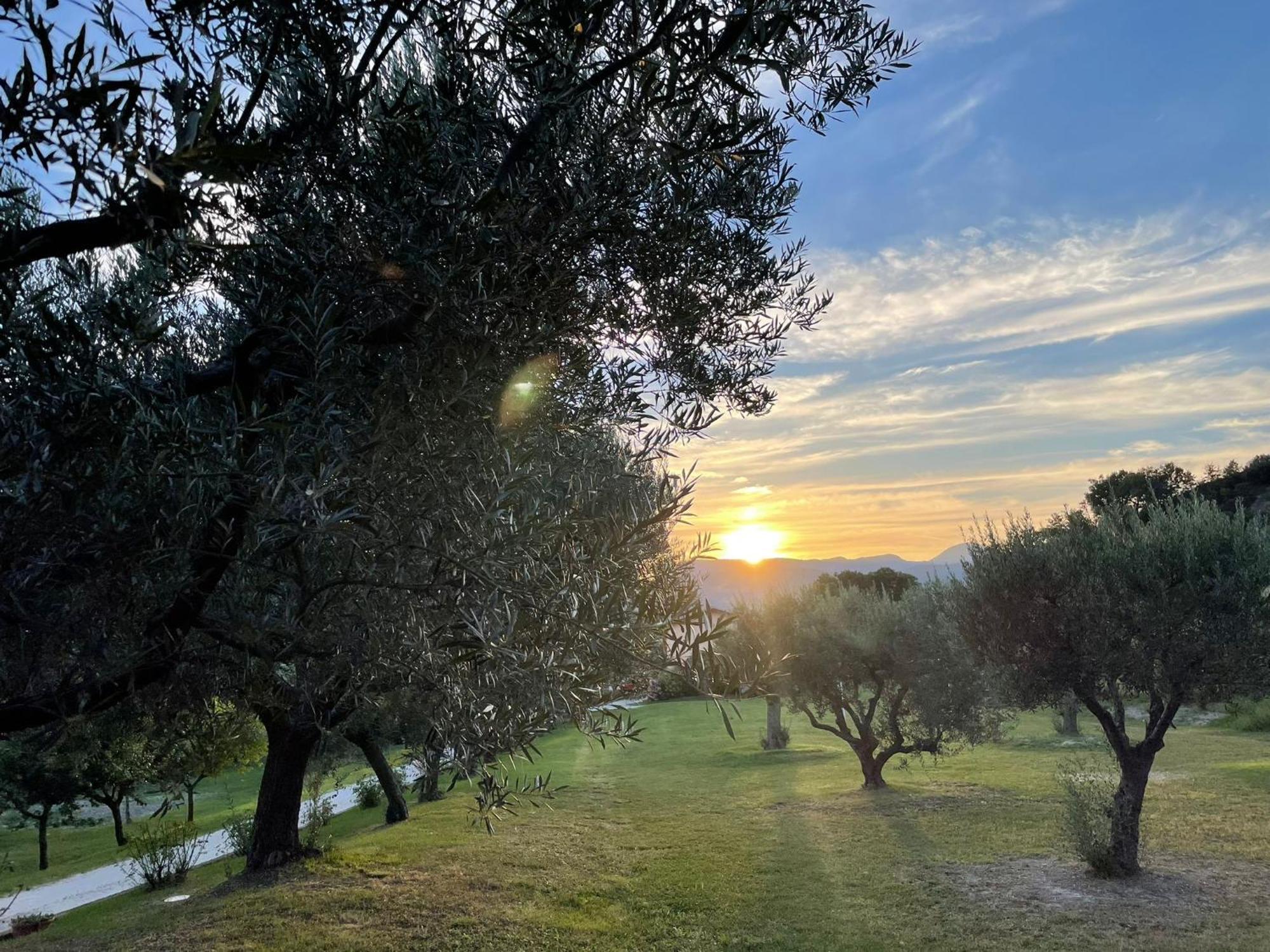 Agriturismo Villa Rosetta San Severino Marche Buitenkant foto