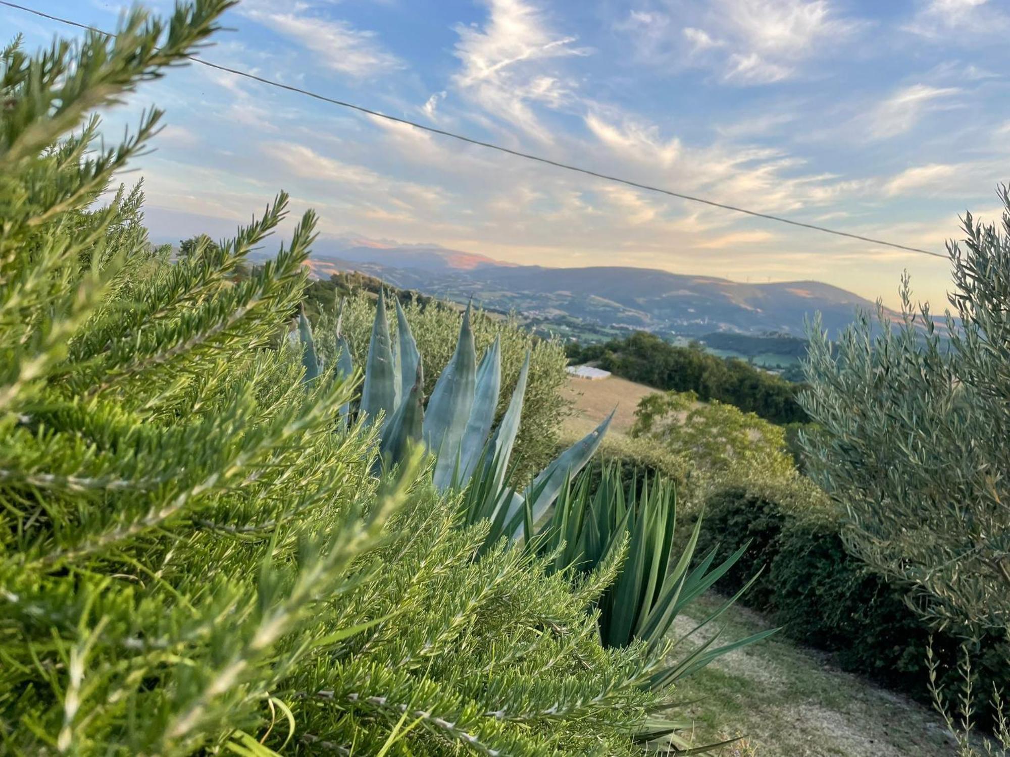 Agriturismo Villa Rosetta San Severino Marche Buitenkant foto