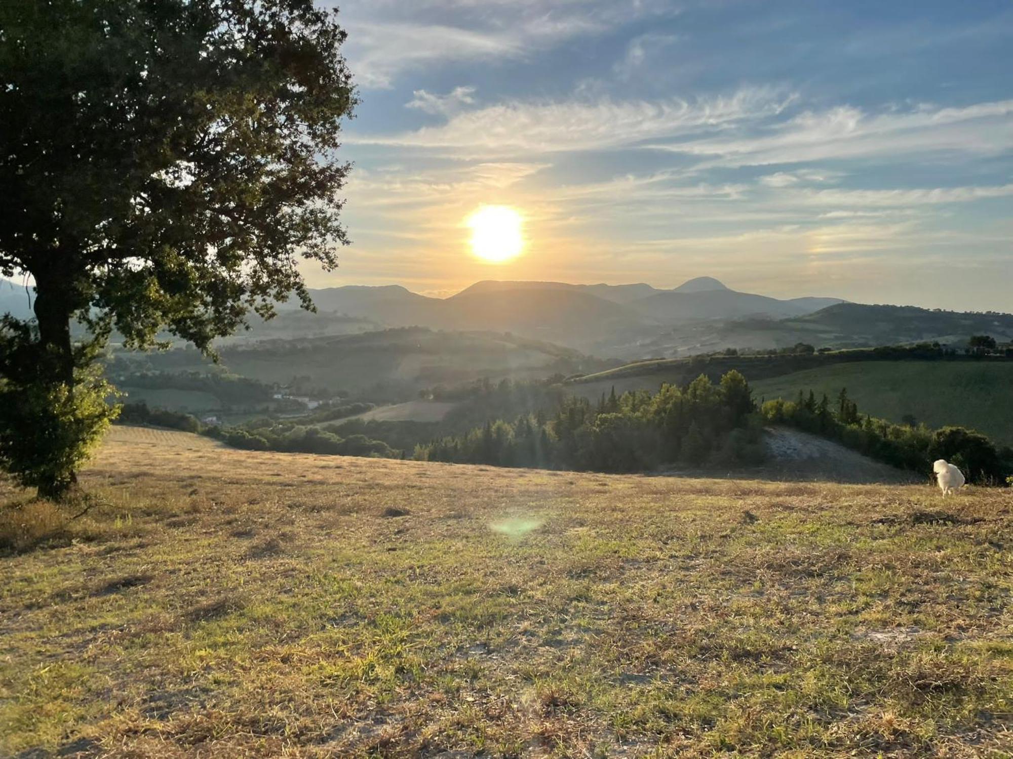 Agriturismo Villa Rosetta San Severino Marche Buitenkant foto