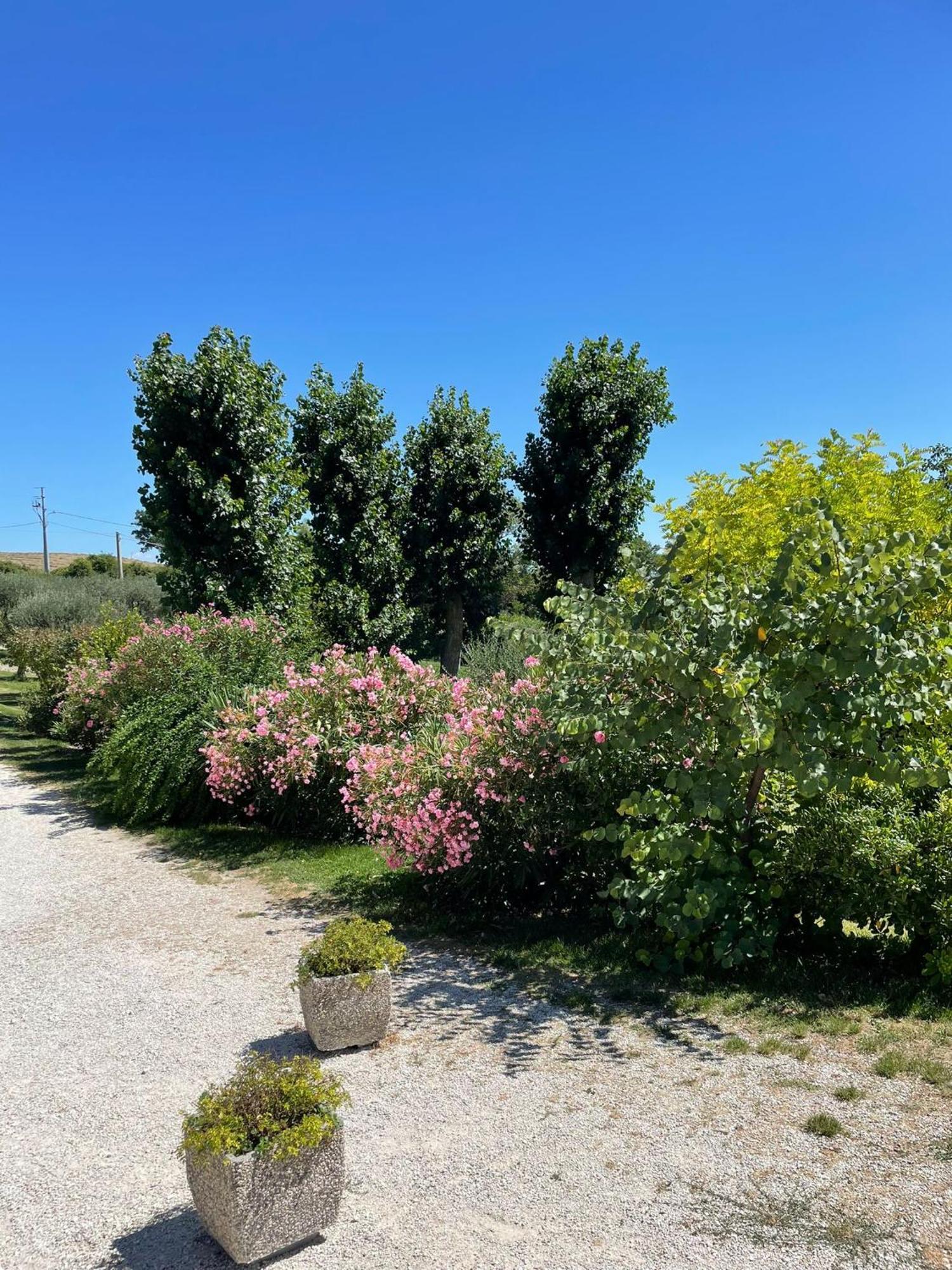 Agriturismo Villa Rosetta San Severino Marche Buitenkant foto