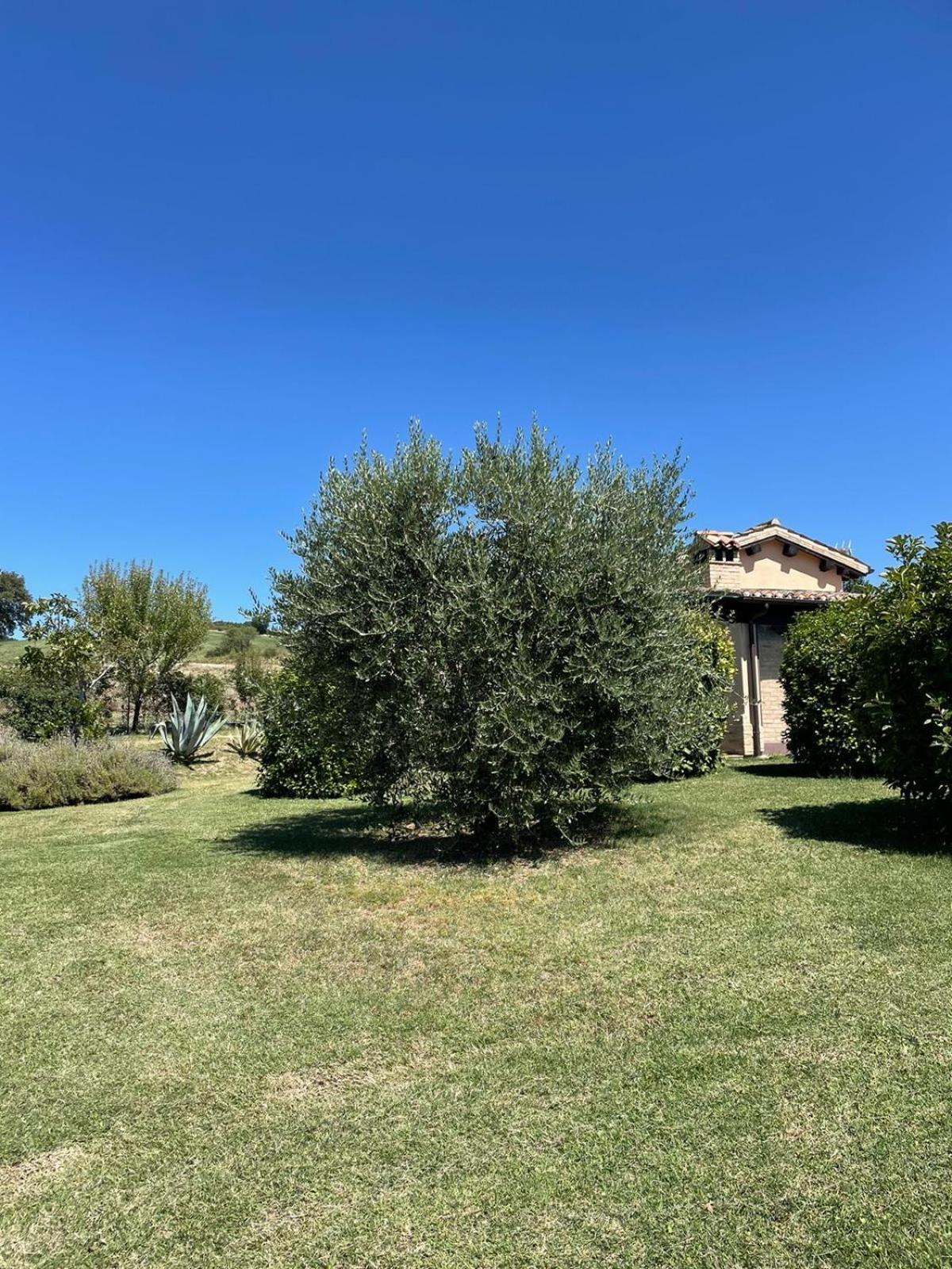 Agriturismo Villa Rosetta San Severino Marche Buitenkant foto