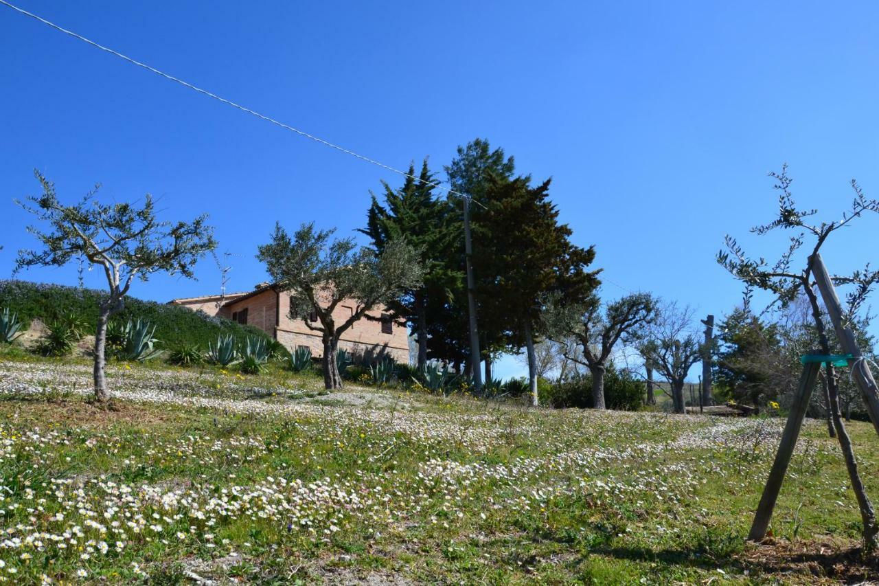 Agriturismo Villa Rosetta San Severino Marche Buitenkant foto