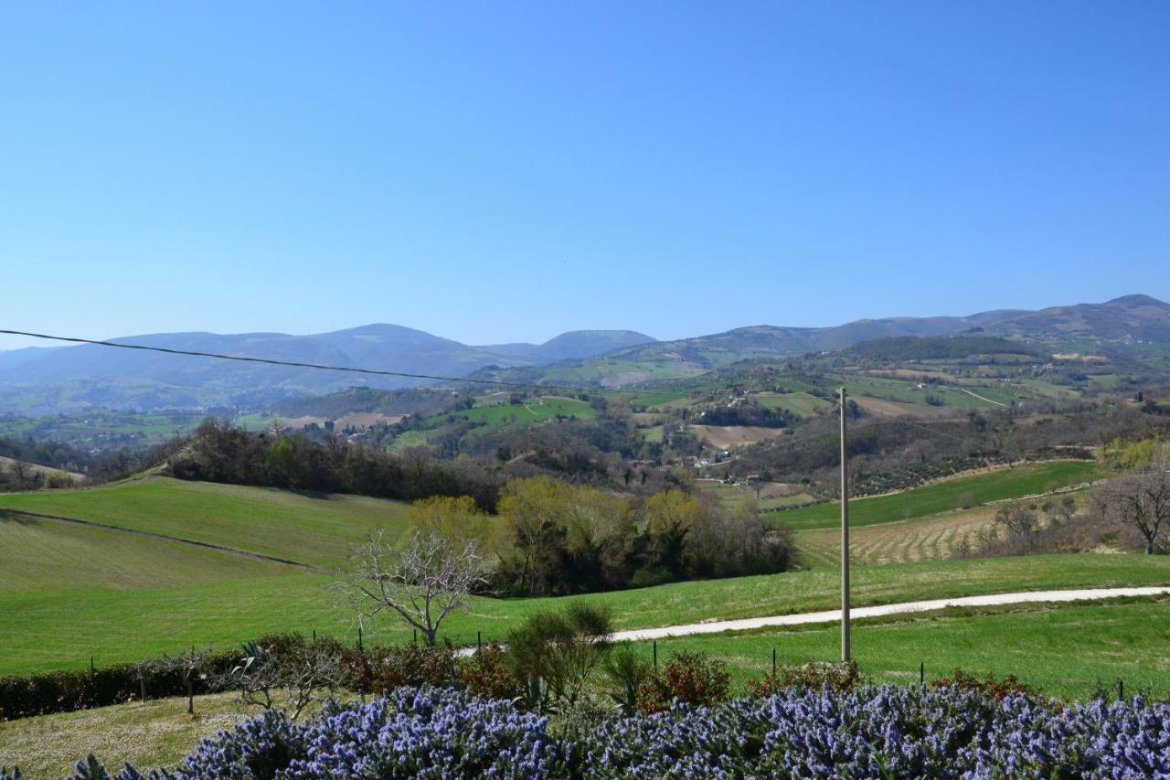 Agriturismo Villa Rosetta San Severino Marche Buitenkant foto